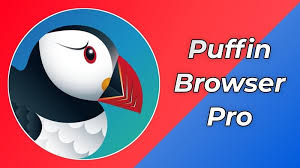 Download Puffin Browser Crack 2024 & Keygen Free Download